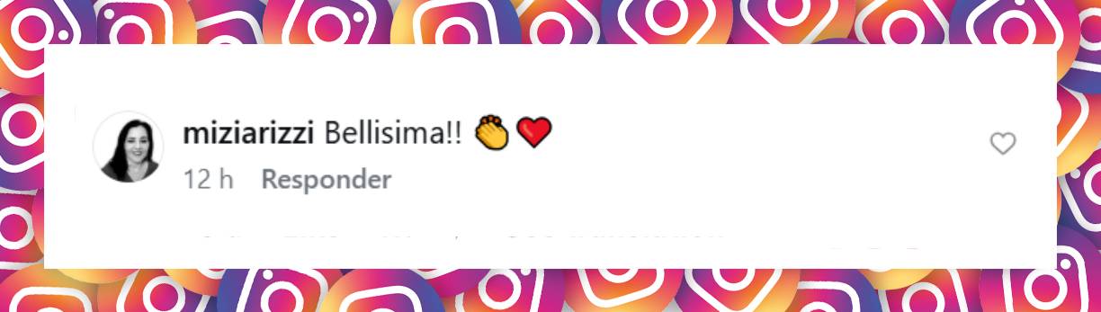 Comentario de una usuaria | Instagram/katedelcastillo