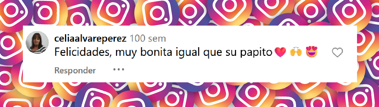 Comentario de una usuaria sobre Isadora, la hija de Chayanne. | Fuente Instagramchayanne