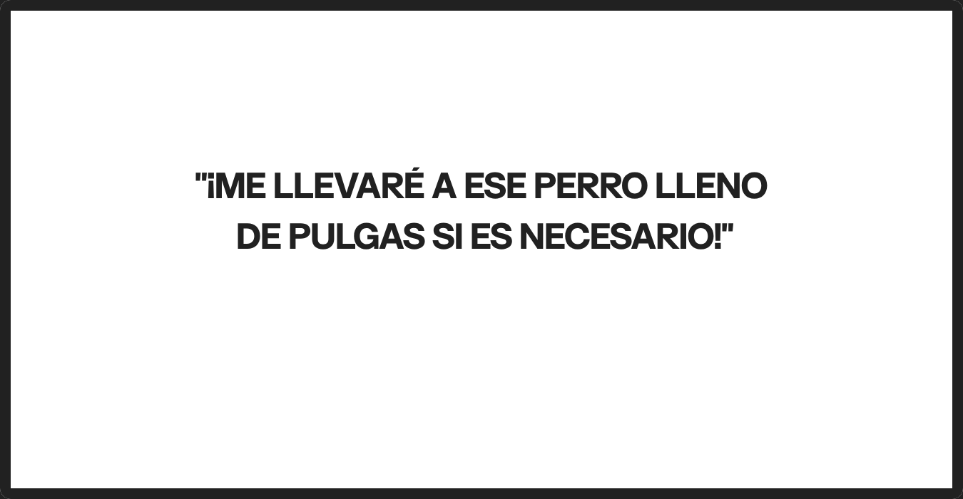 Imagen con fines ilustrativos | Foto: Morelimedia
