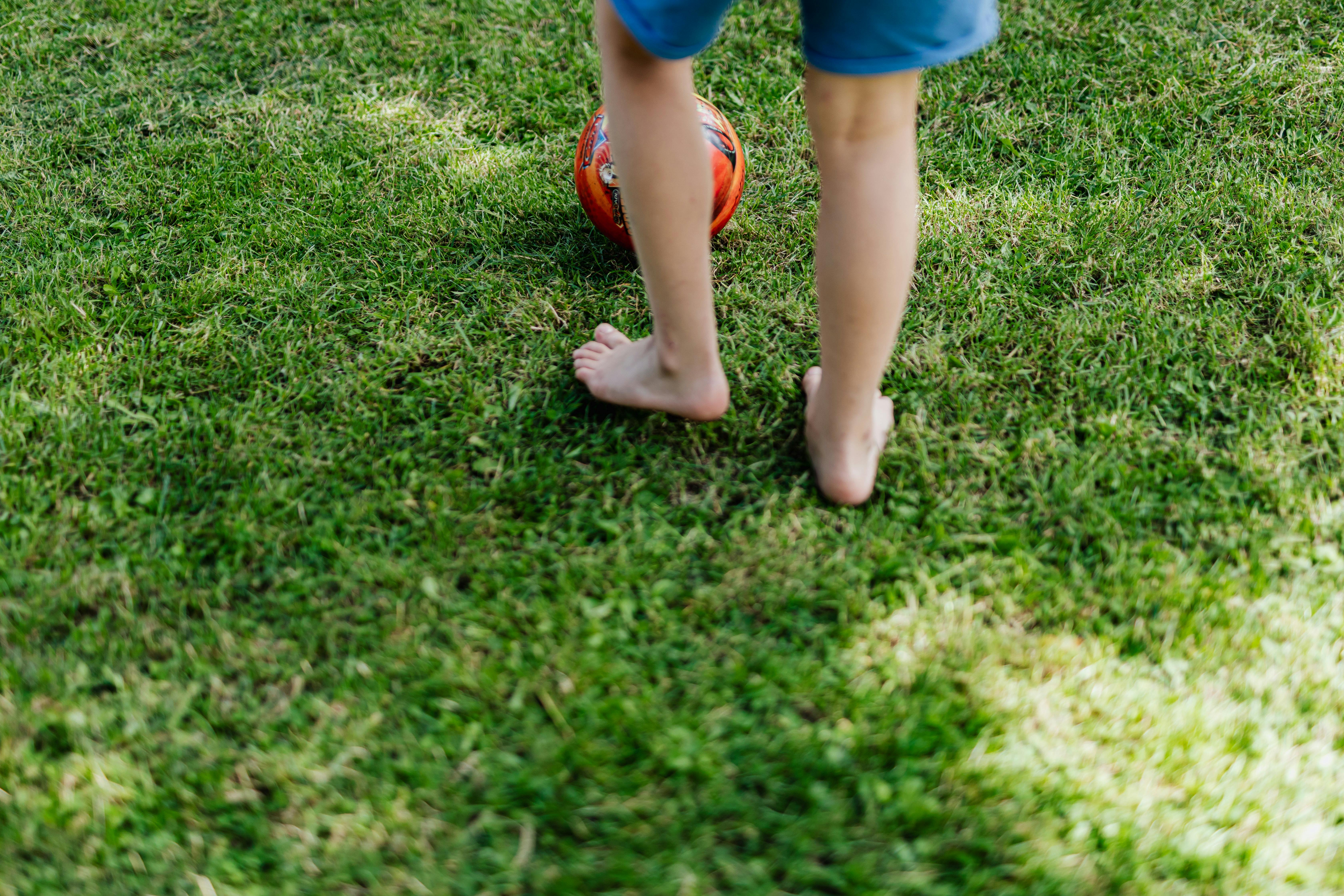 Imagen con fines ilustrativos | Foto: Pexels