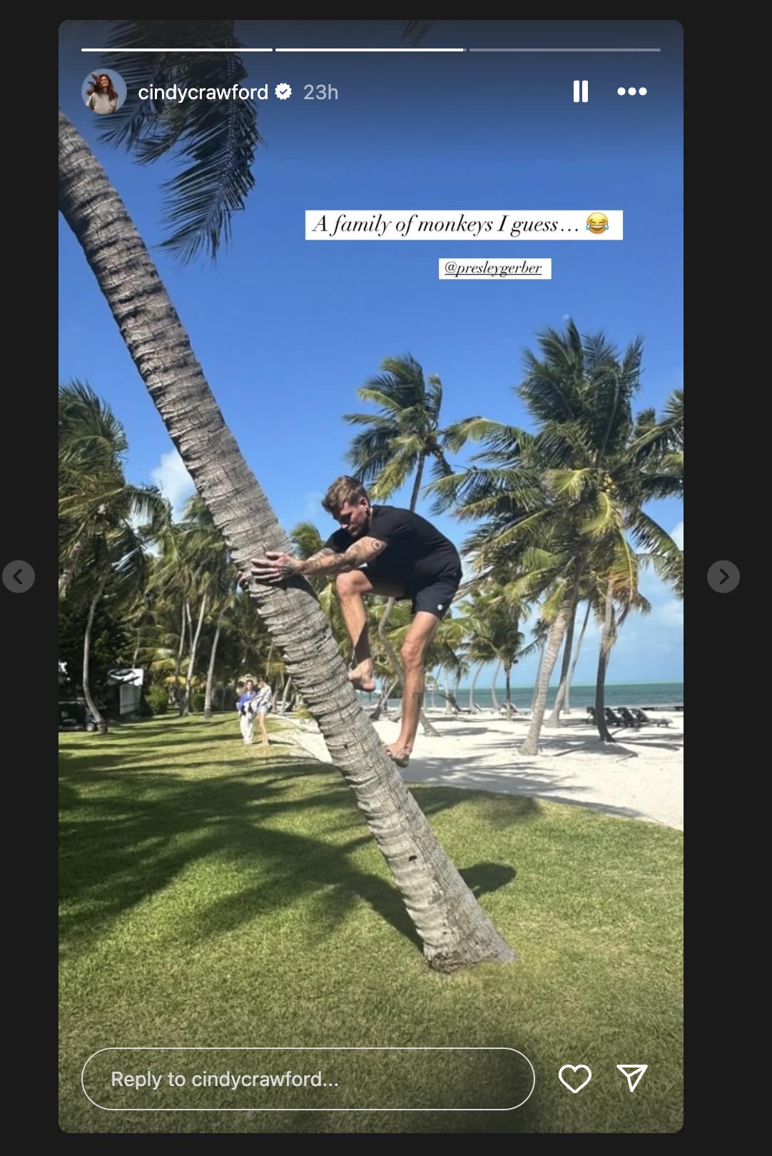 Foto de Cindy Crawford de su hijo Presley Gerber subido a una palmera, publicada a través de Instagram Stories el 1 de mayo de 2025. | Fuente: Instagram/cindycrawford
