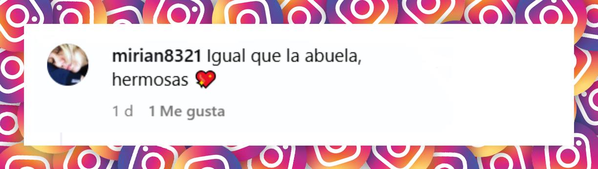Comentario de una seguidora | Fuente: Instagram/iconoalfano