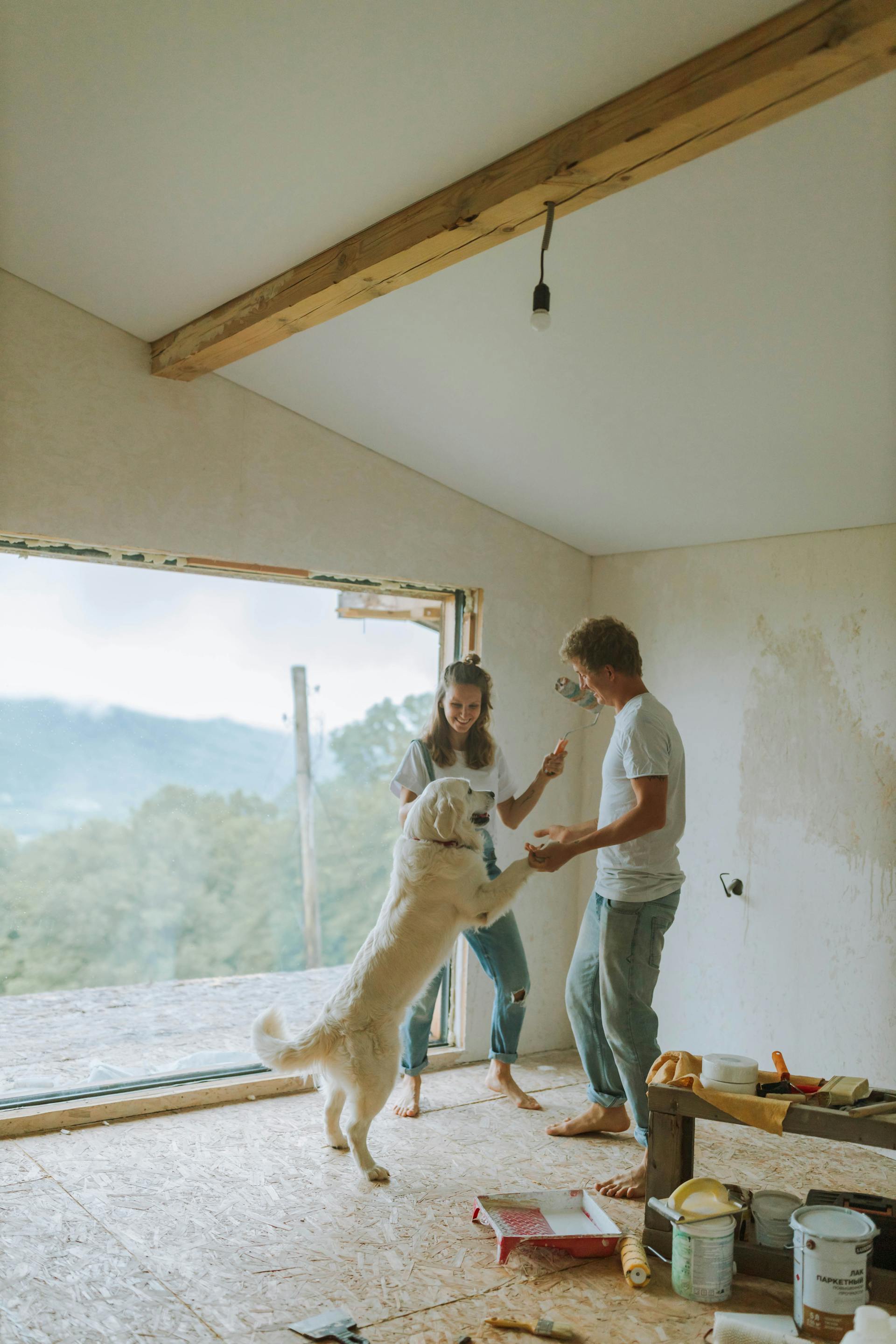 Una pareja juega con su perro mientras hace reformas | Fuente: Pexels