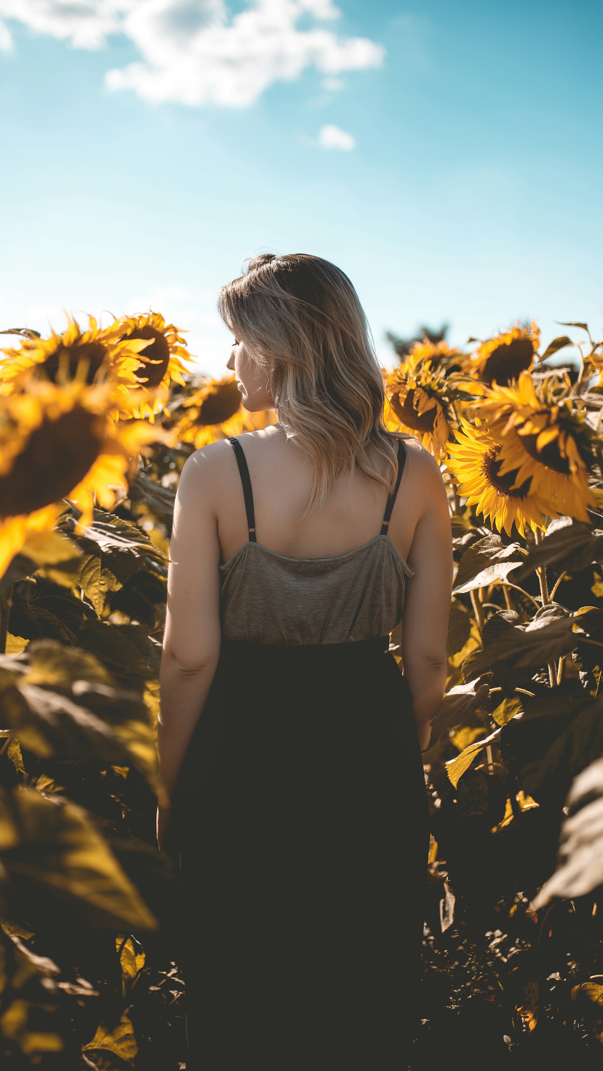 Una mujer en un campo de girasoles | Fuente: Unsplash
