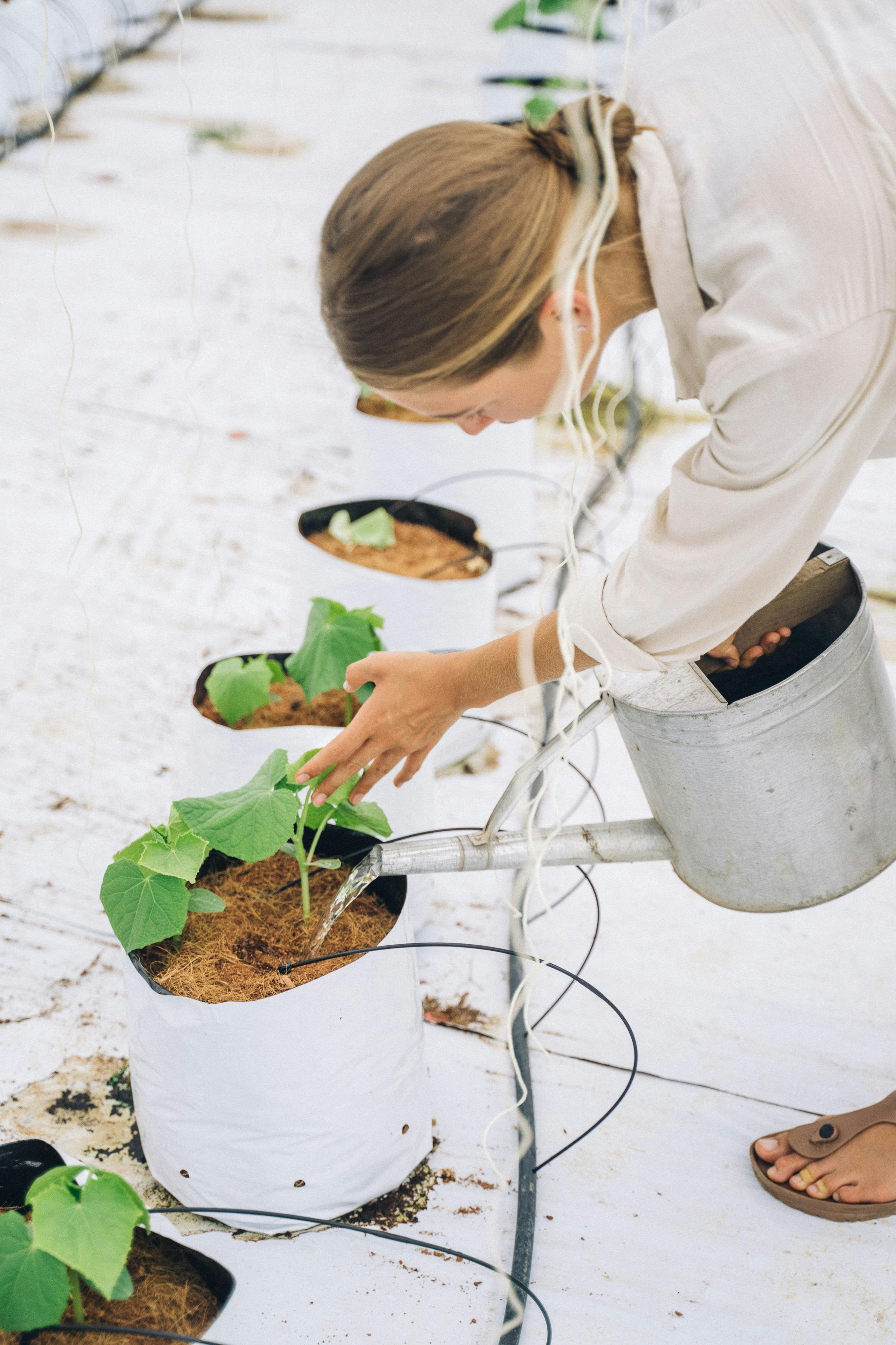 Una mujer regando plantas | Fuente: Pexels