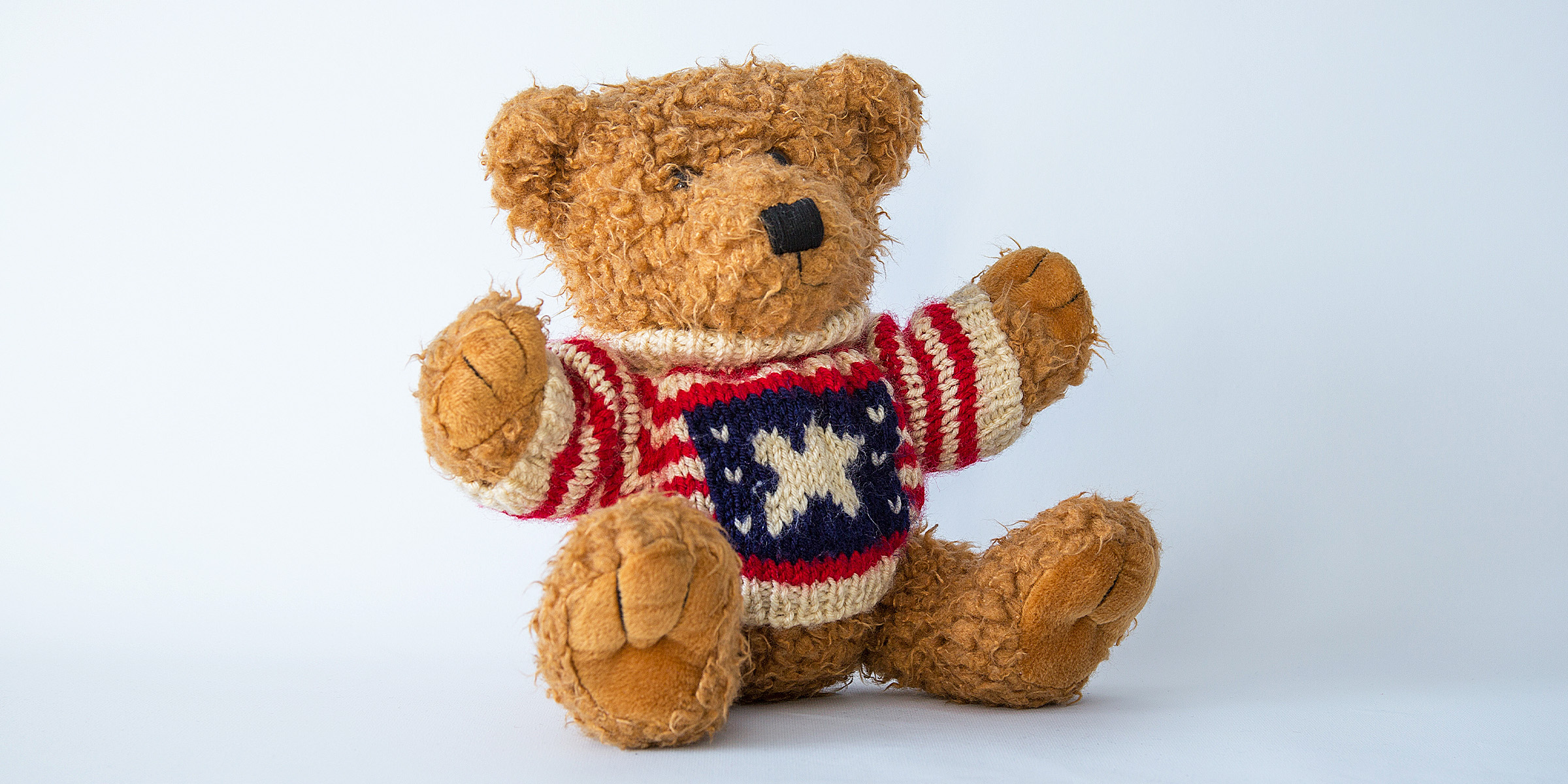 Un oso de peluche marrón | Fuente: Shutterstock