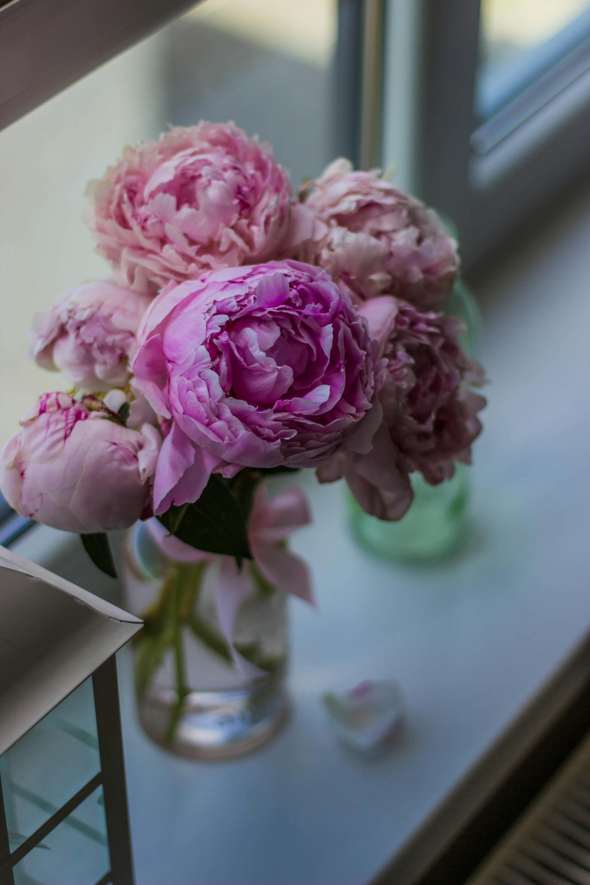 Flores rosas colocadas en un jarrón cerca de una ventana | Fuente: Pexels