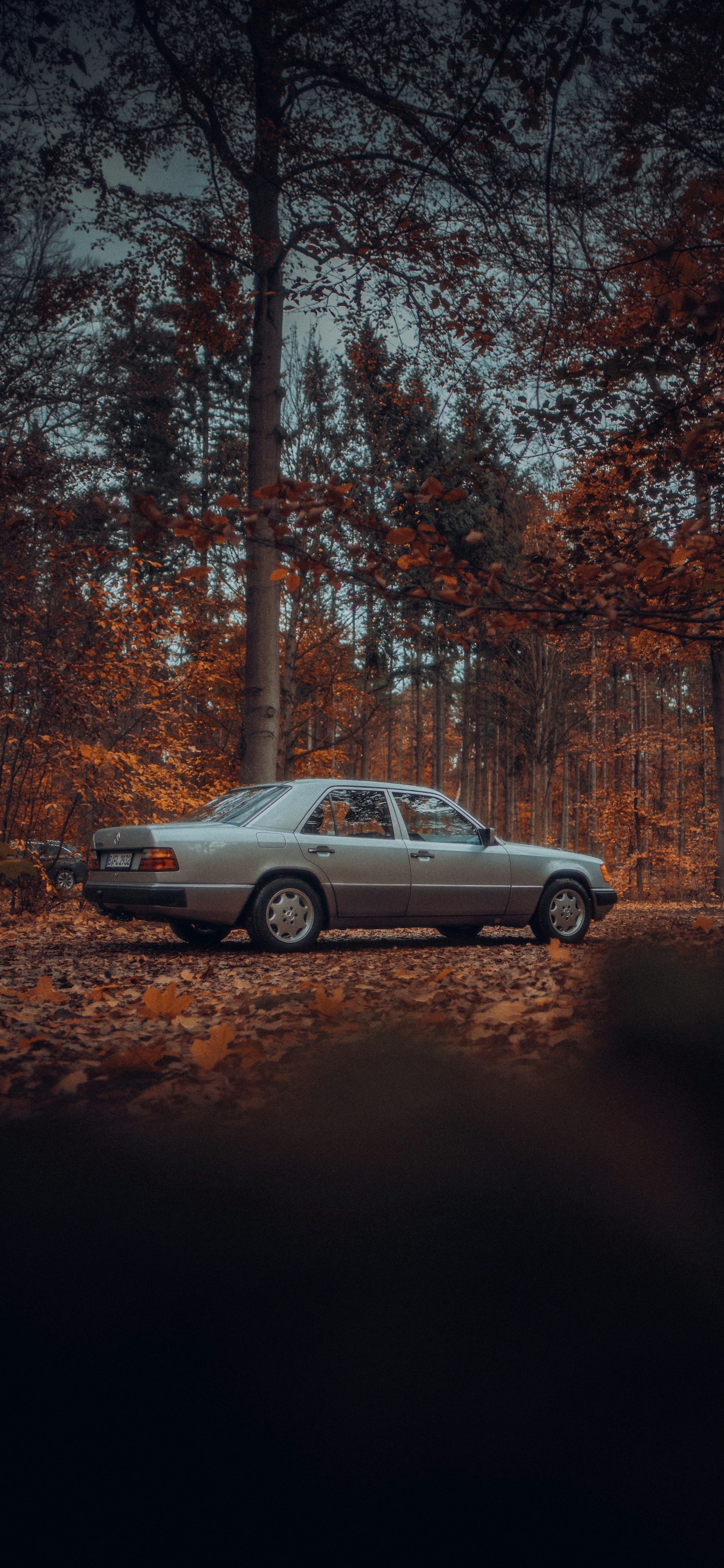 Un automóvil aparcado en un paisaje denso | Fuente: Unsplash