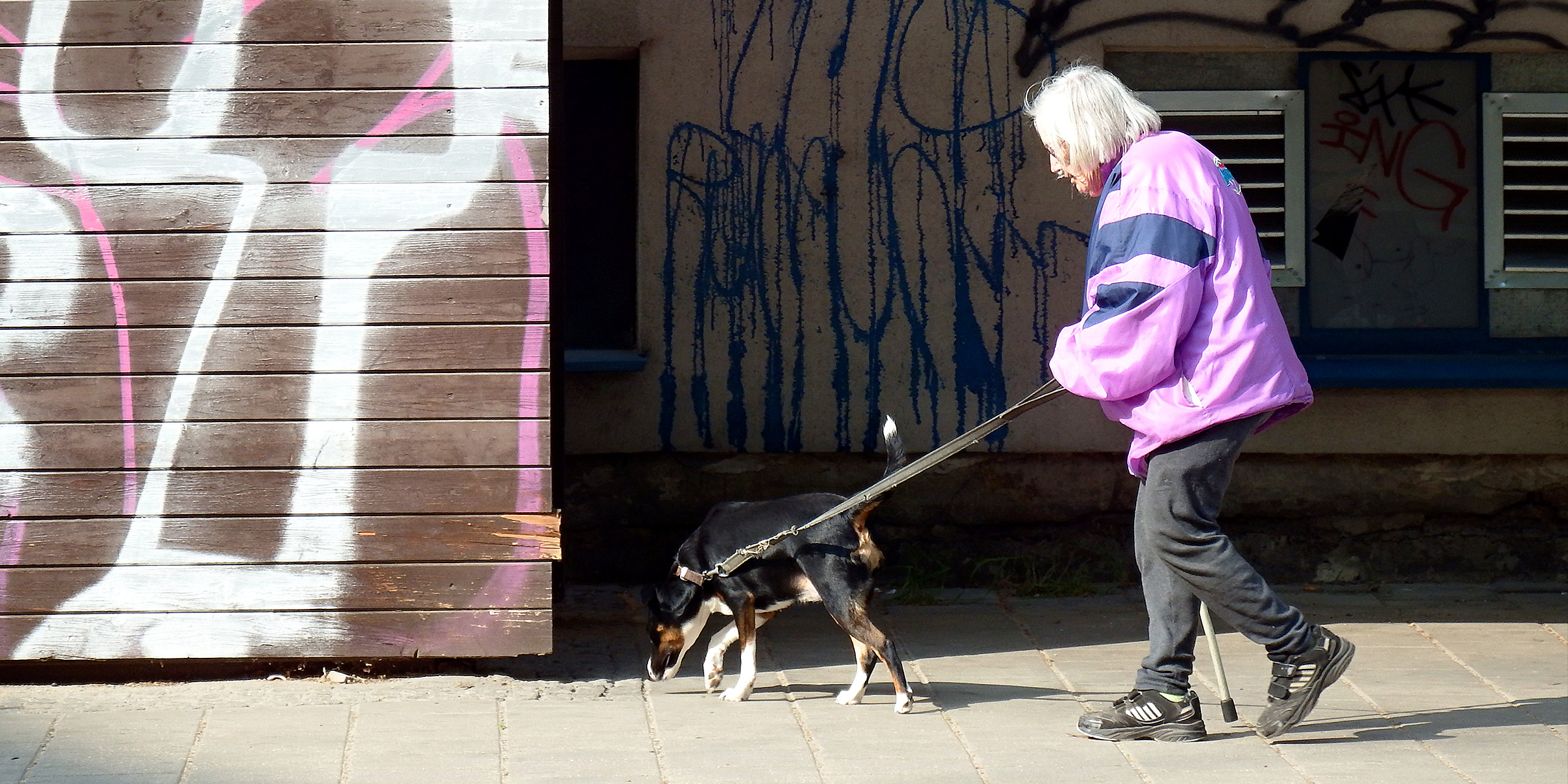 Una anciana paseando a su perro | Fuente: Flickr