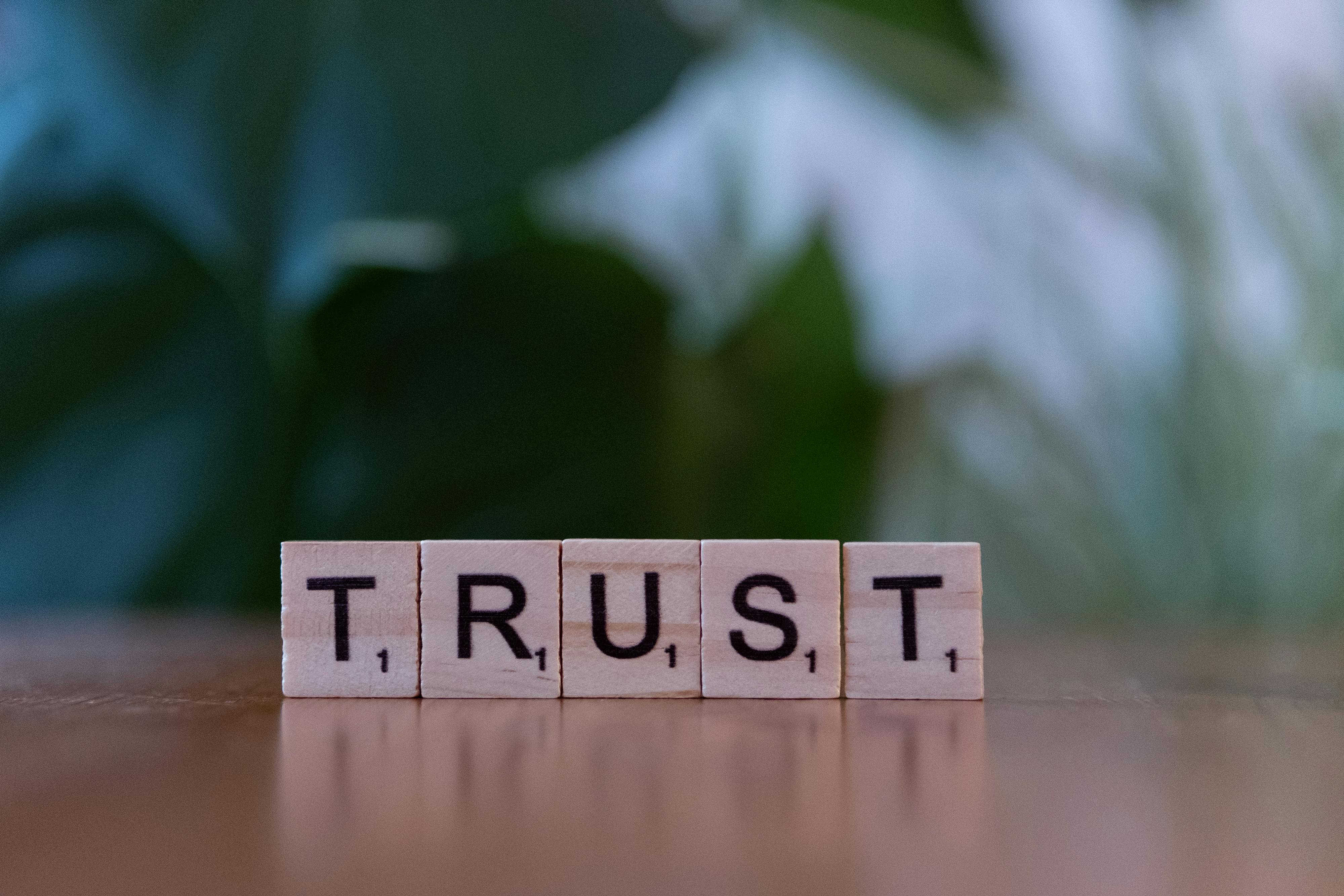 Imagen con fines ilustrativos | Foto: Pexels