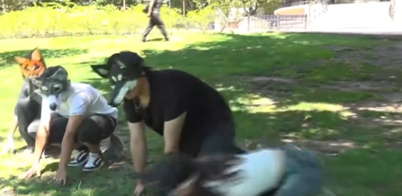 Los Therian saltan imitando el andar cuadrúpedo de su animal. | Fuente: Facebook/América TV.