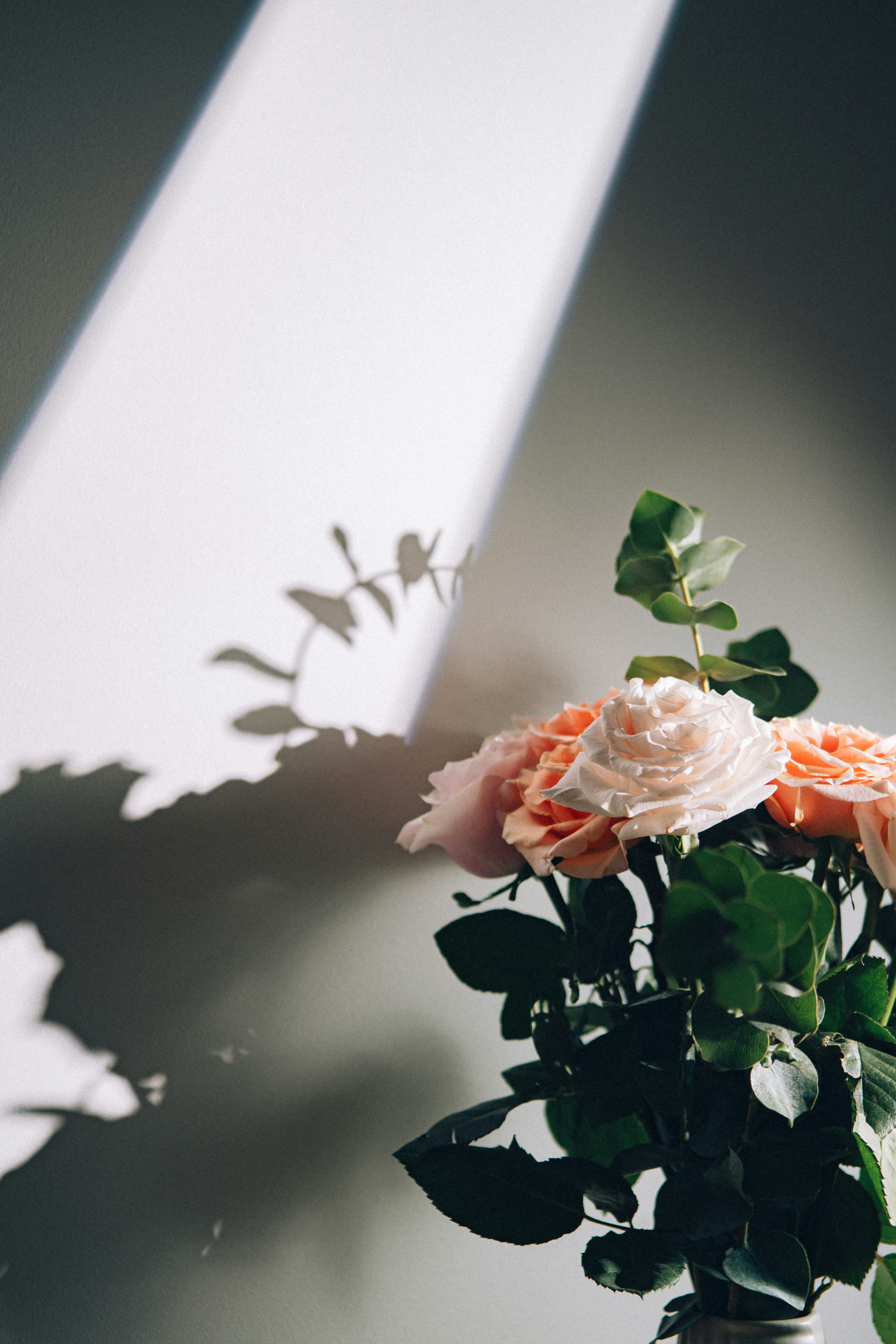 Primer plano de un arreglo floral | Fuente: Unsplash