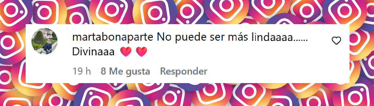 Comentario de una usuaria sobre el cumpleaños de Sarah, la hija de Barby Franco y Fernando Burlando | Fuente: Instagram/barbaritafranco21