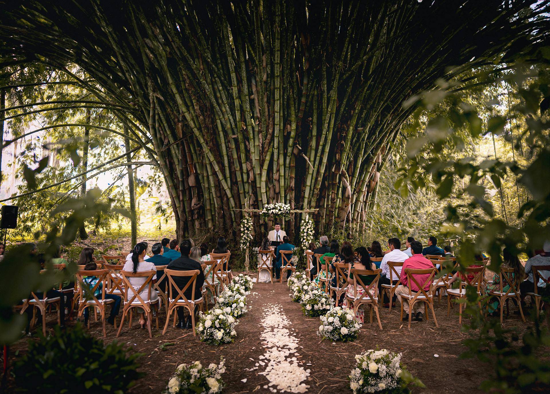 Una ceremonia de boda en el bosque con un altar de bambú y un camino cubierto de pétalos de flores | Fuente: Pexels