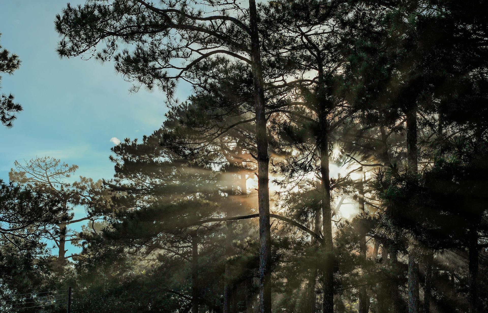 Imagen con fines ilustrativos | Foto: Pexels