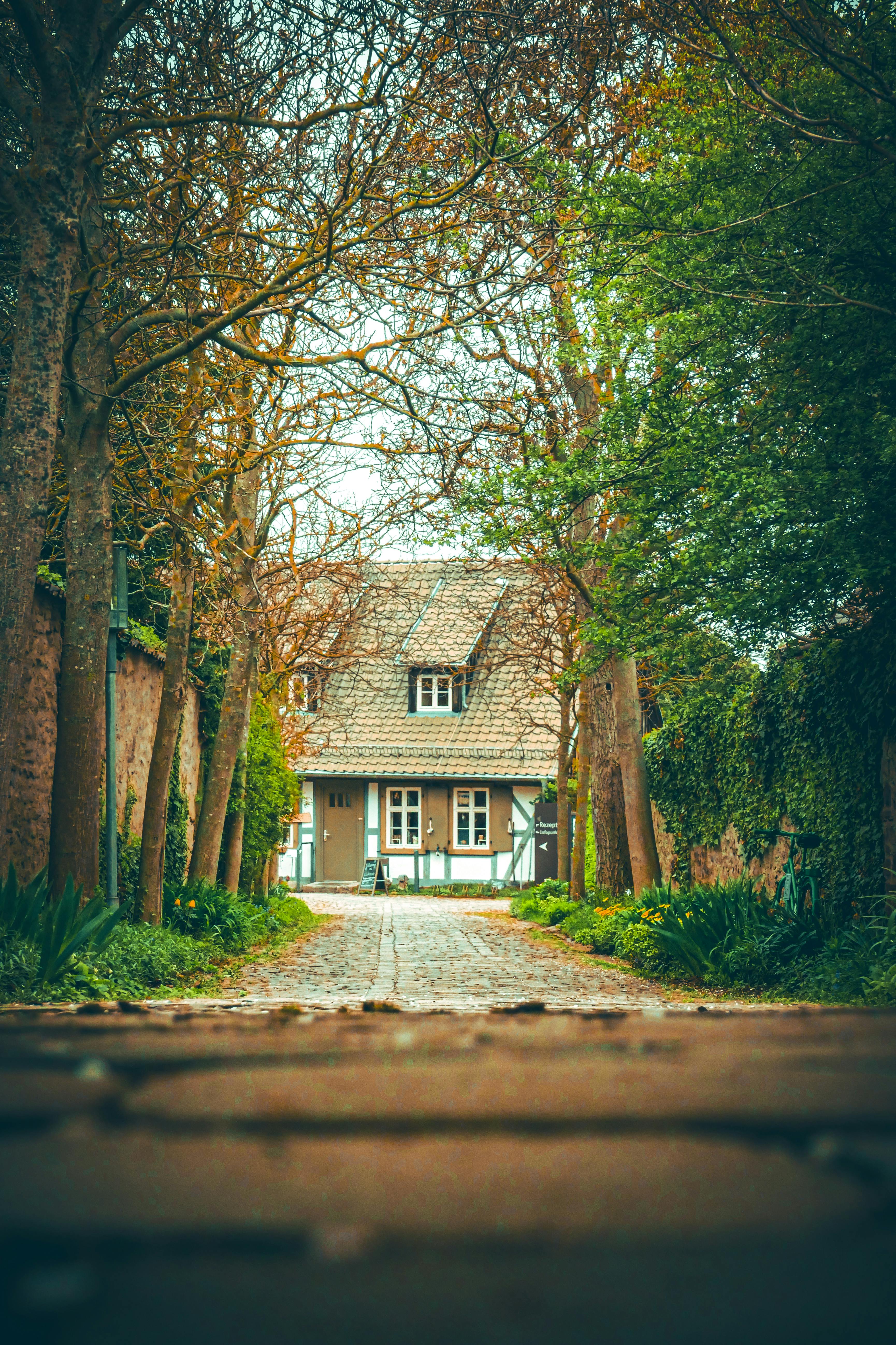 Una hermosa casa de campo en un pueblo sereno | Fuente: Pexels