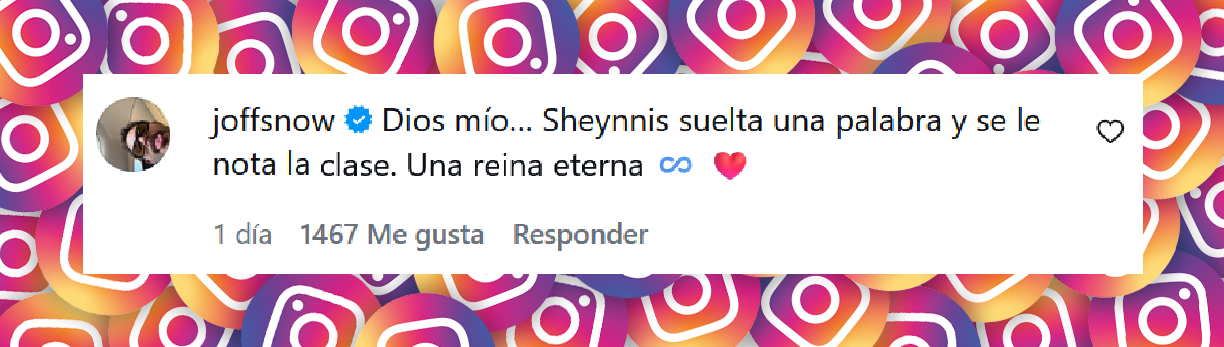 Comentario de un usuario sobre las declaraciones de Sheynnis Palacios relacionadas con su ruptura con Carlos Gómez | Fuente: Instagram/encasacontelemundo