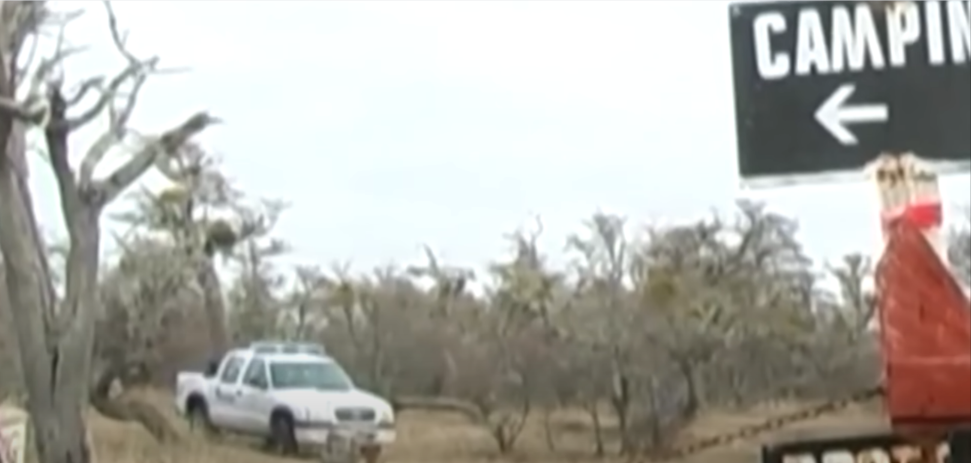 Sofía fue buscada por las autoridades en todo el área del camping sin encontrar ningún rastro. | Fuente: Youtube/Historias Innecesarias.