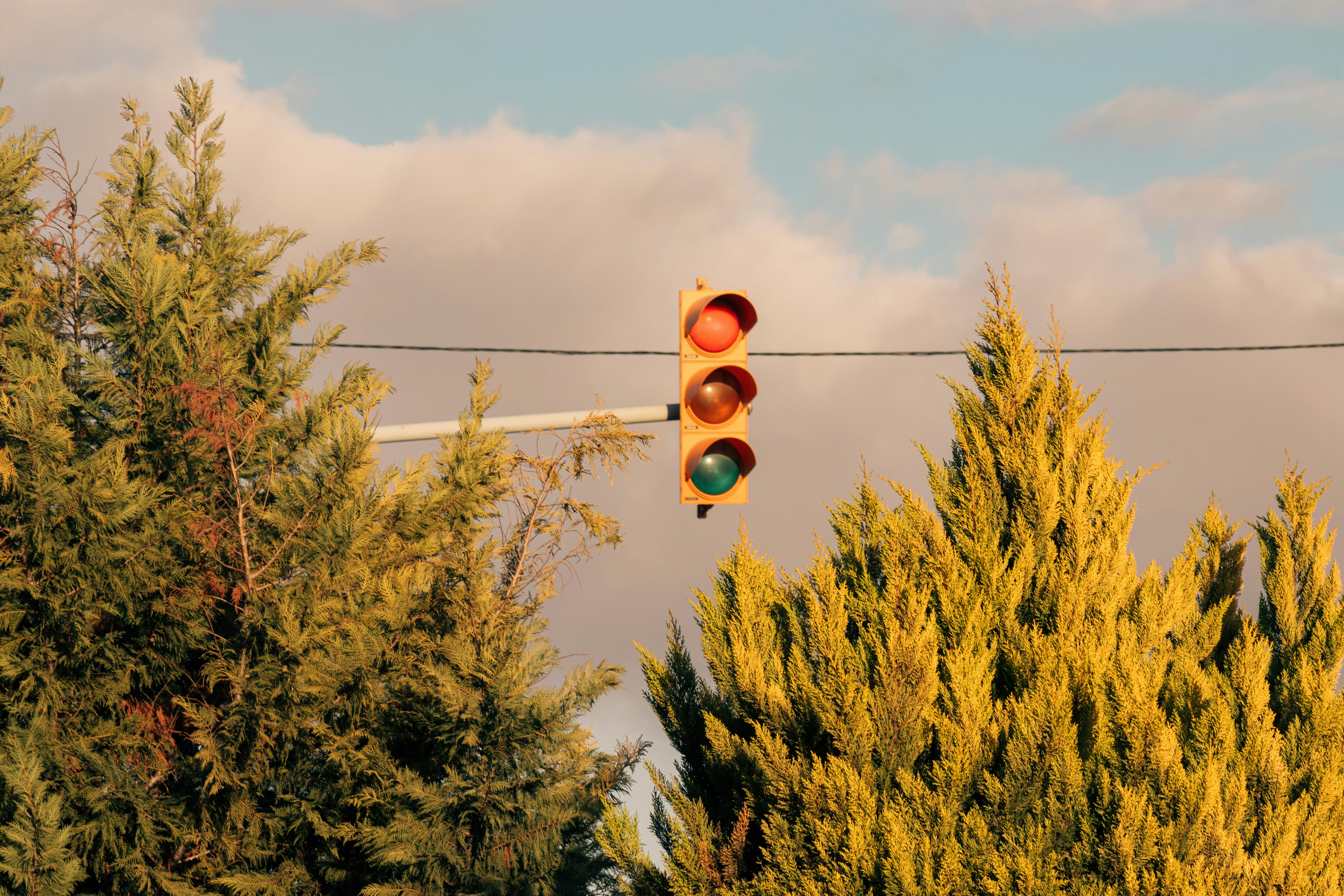 Imagen con fines ilustrativos | Foto: Pexels