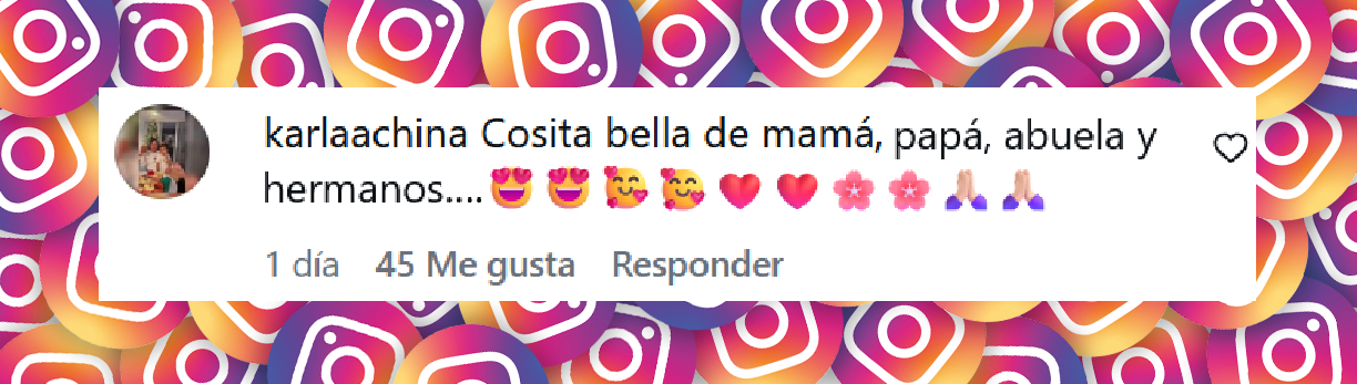 Comentario de una usuaria sobre el video compartido por Francisca Lachapel de las primeras palabras de su hija menor | Fuente: Instagram/francisca