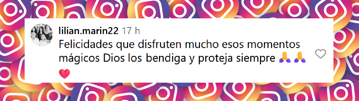 Comentario de una usuaria sobre la publicación de Raúl de Molina sobre su 31º aniversario de boda con su esposa Mily | Fuente: Instagram/rauldemolina