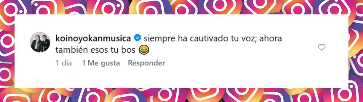 Comentario de un usuario | Fuente: Instagram/leogarciaartista