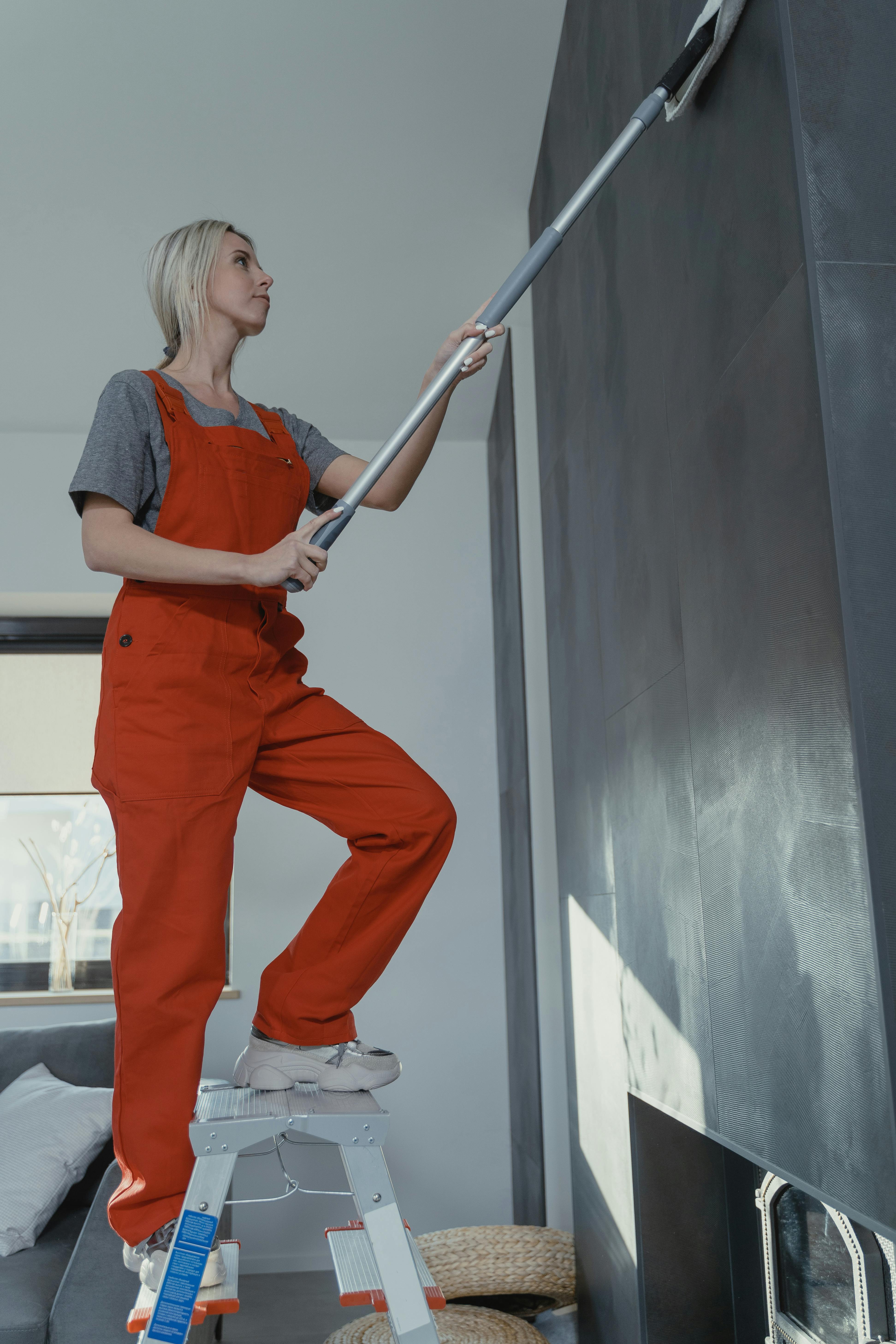 Mujer limpiando la pared de pie sobre una escalera | Fuente: Pexels