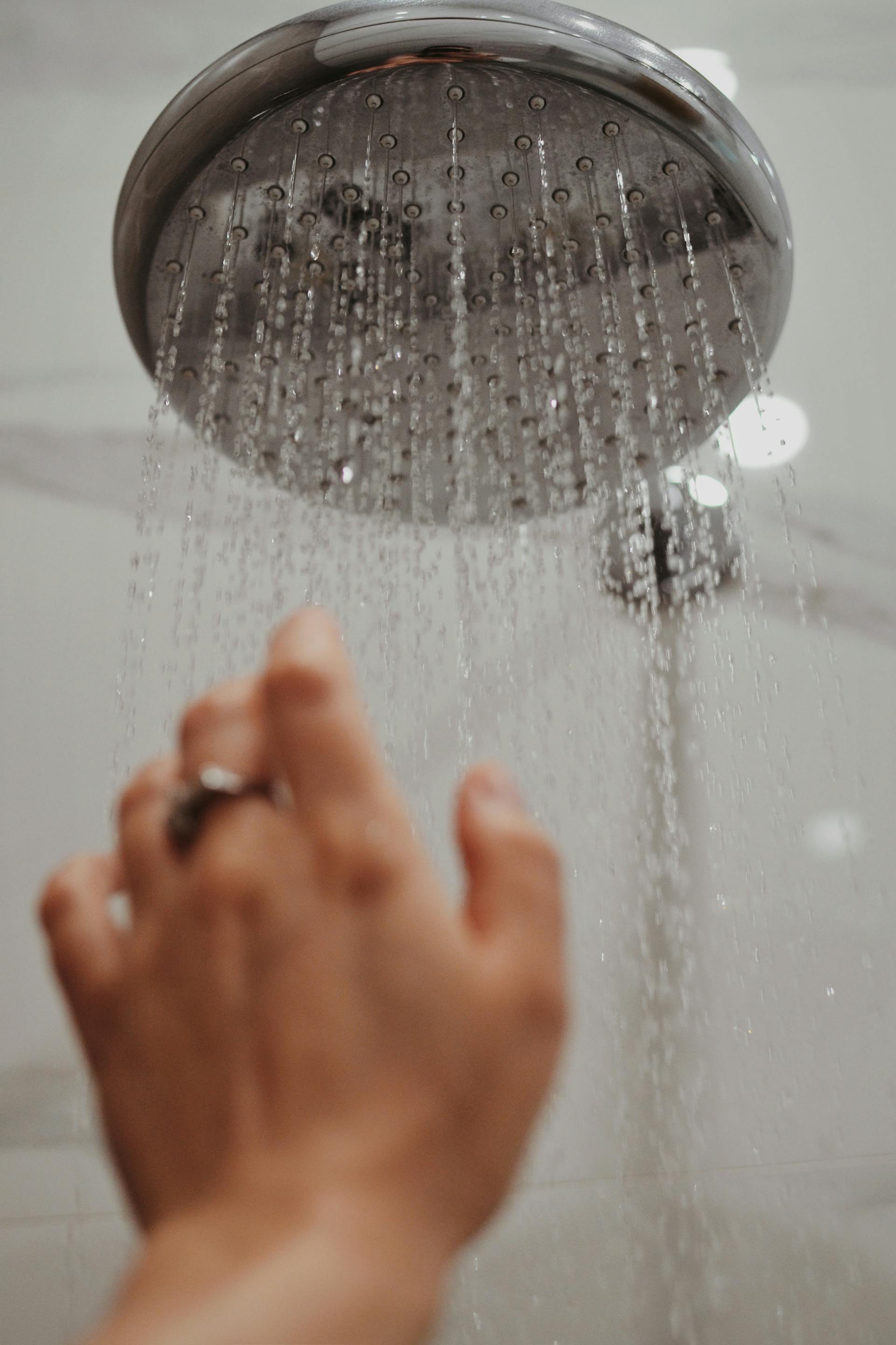 Una alcachofa de ducha | Fuente: Pexels