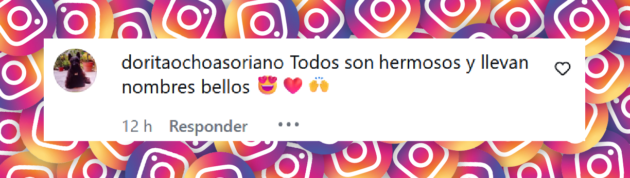 Comentario de una persona sobre los hijos de Enrique Iglesias y Anna Kournikova, y el nombre de su cuarto hijo | Fuente: Instagram/annakournikova