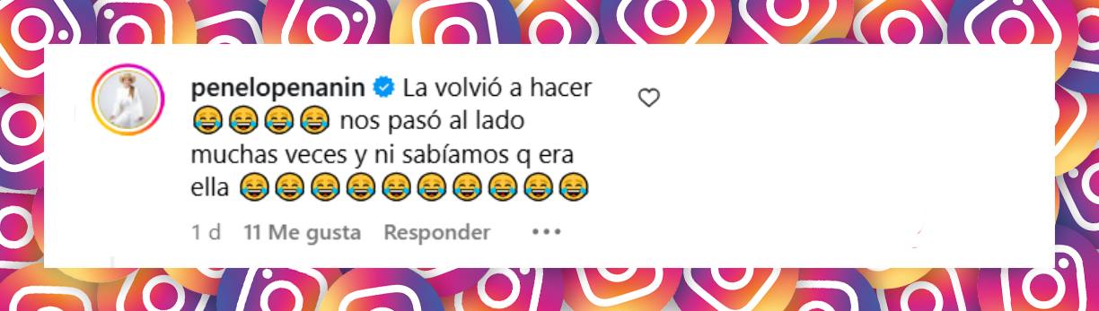 Comentario de una seguidora sobre el disfraz de Shakira