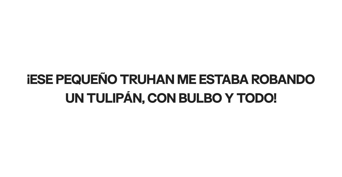 Imagen con fines ilustrativos | Foto: Morelimedia