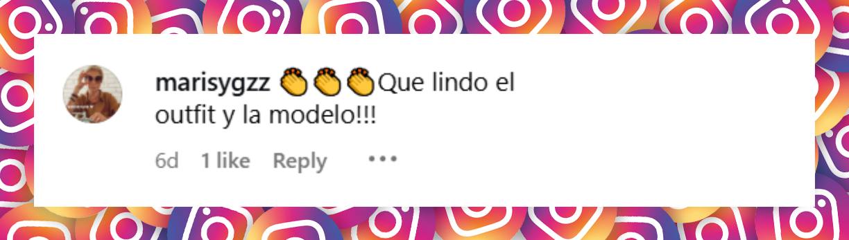 Comentario de una internauta | Fuente: Instagram/_rocio.g_