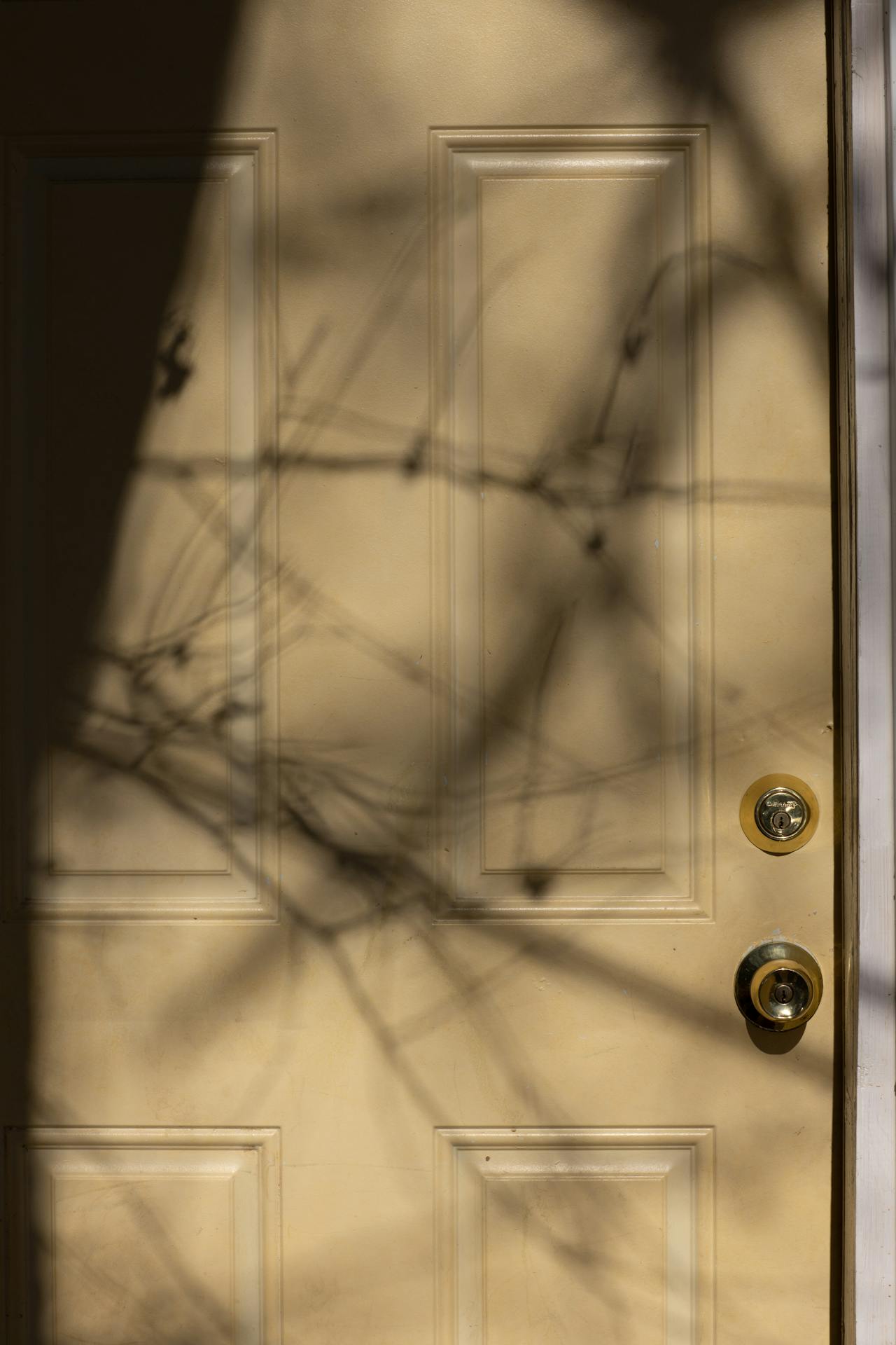 Puerta principal de una casa | Fuente: Pexels
