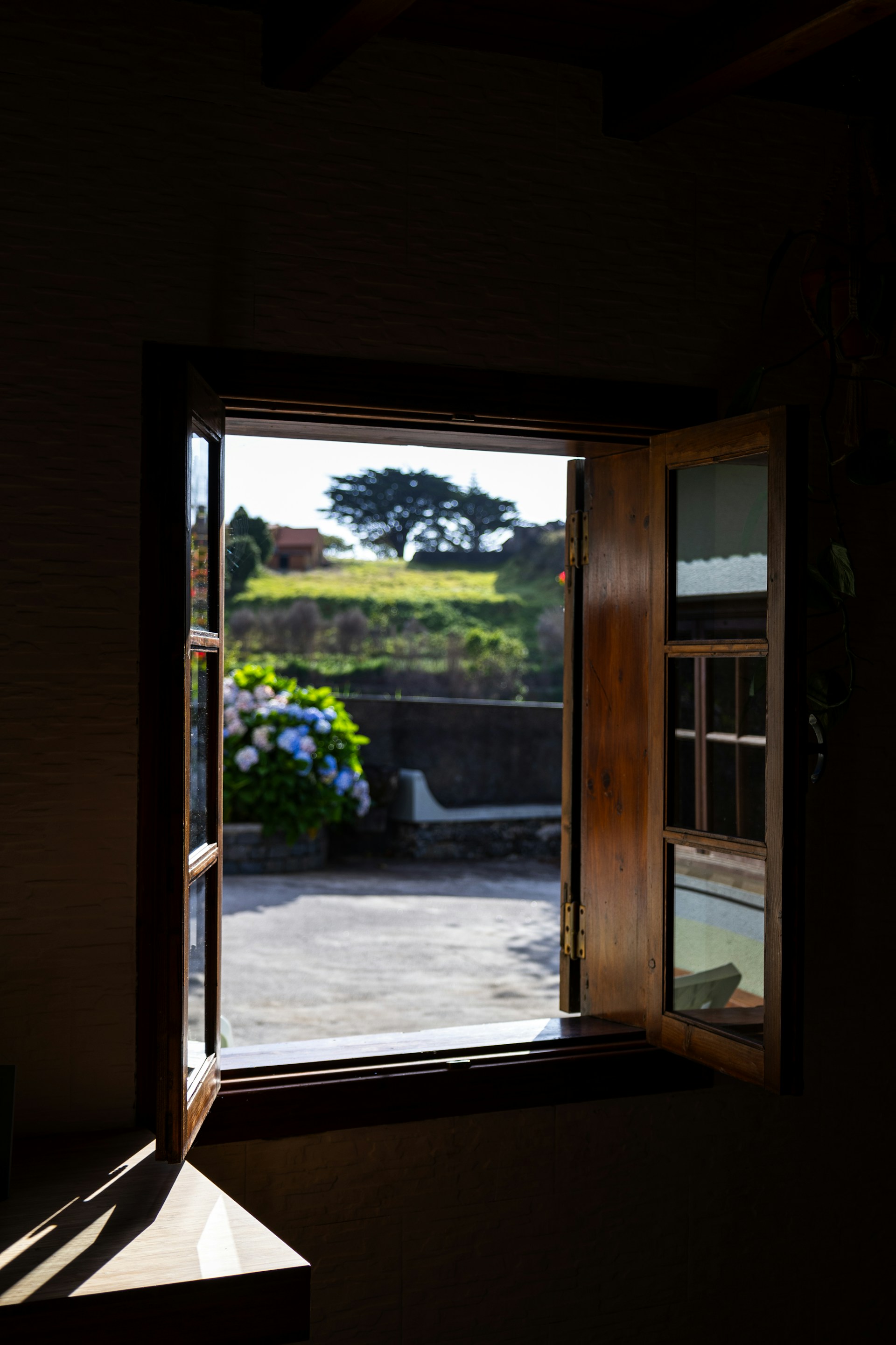 Una ventana abierta | Fuente: Unsplash