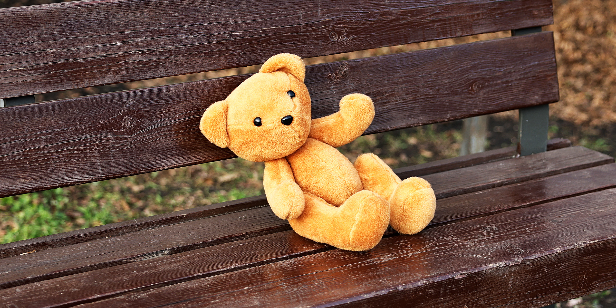 Un osito de peluche en un banco | Fuente: Shutterstock