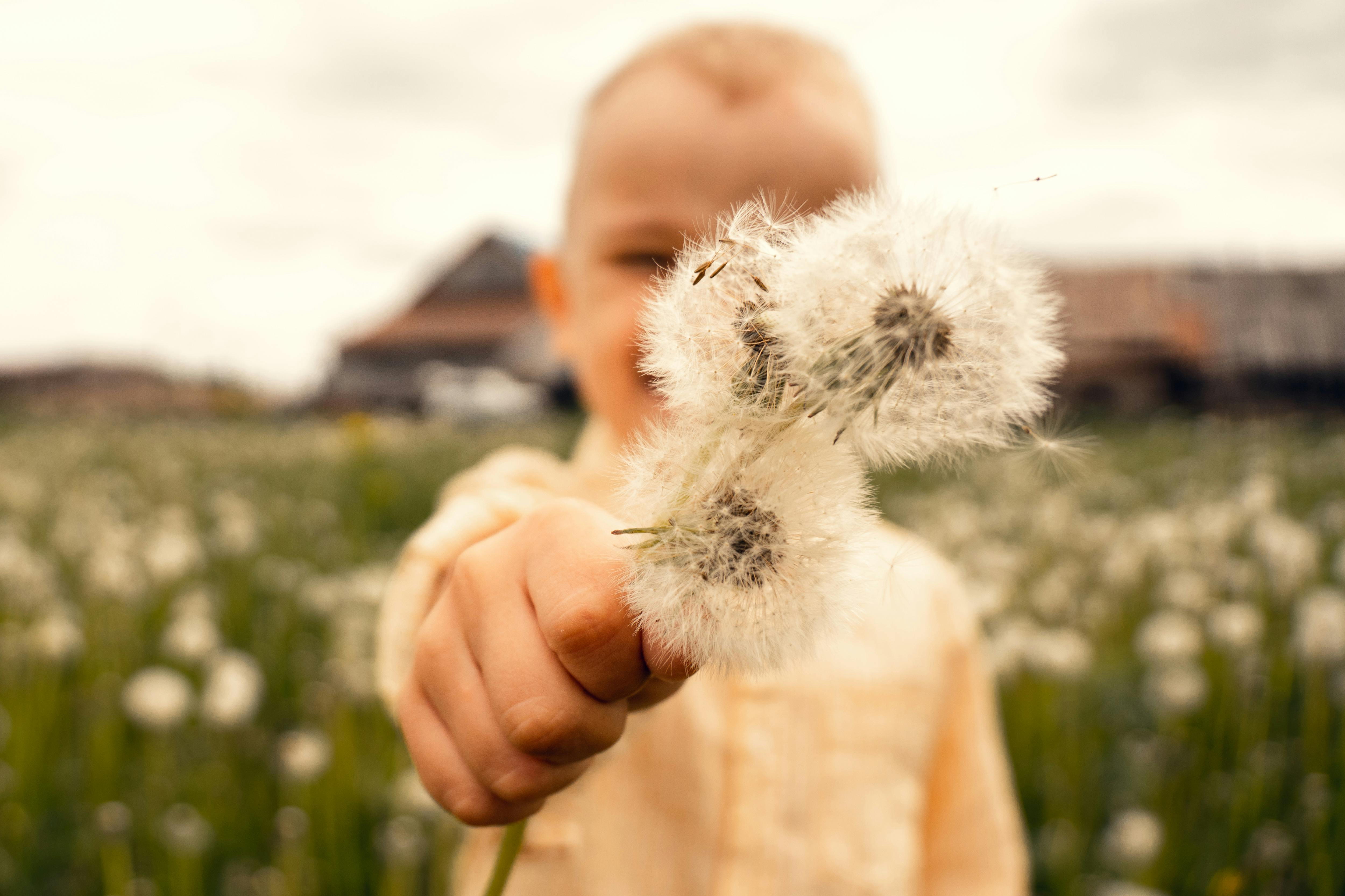 Imagen con fines ilustrativos | Foto: Pexels