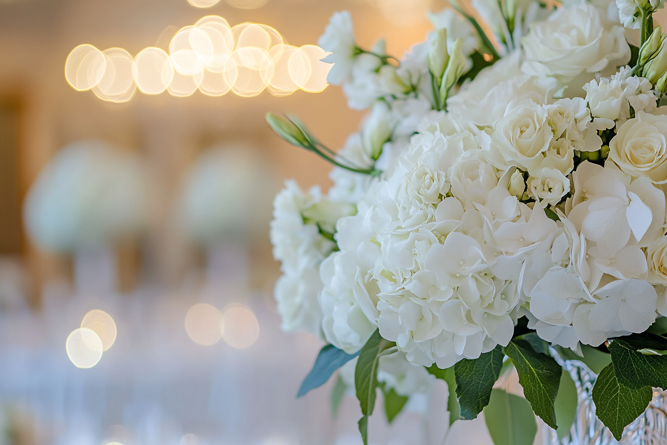 Flores blancas | Fuente: Midjourney