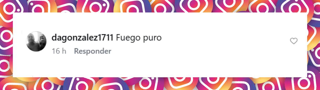 Comentario de un usuario | Fuente: Instagram/evangelinaanderson