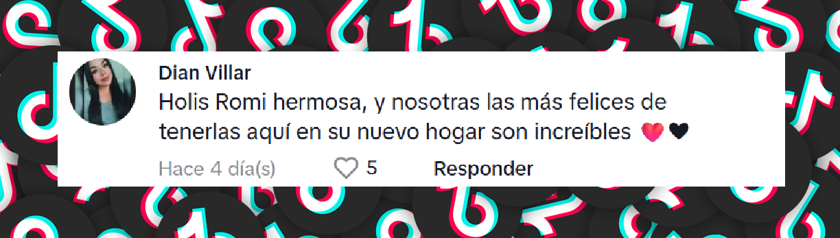 Comentario de una usuaria en el video que compartió Romina Marcos, donde muestra su nuevo departamento junto a su novia Laura Salazar. | Fuente: TikTok/romimarcos