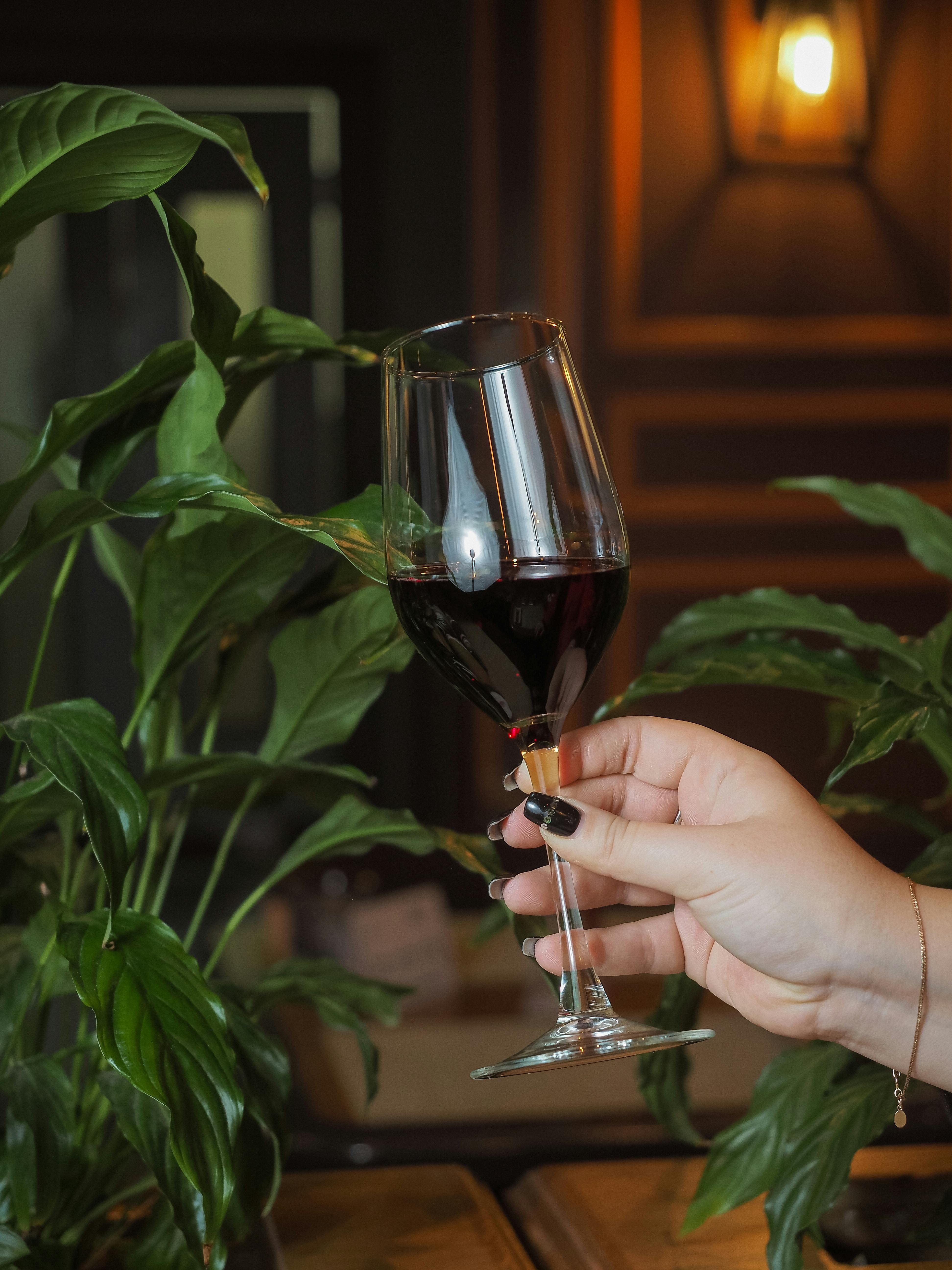 La mano de una mujer sujetando una copa de vino | Fuente: Pexels