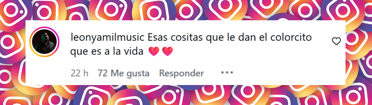 Comentario de una persona sobre la emotiva sorpresa de Evaluna a Ricardo Montaner | Fuente: Instagram/evaluna