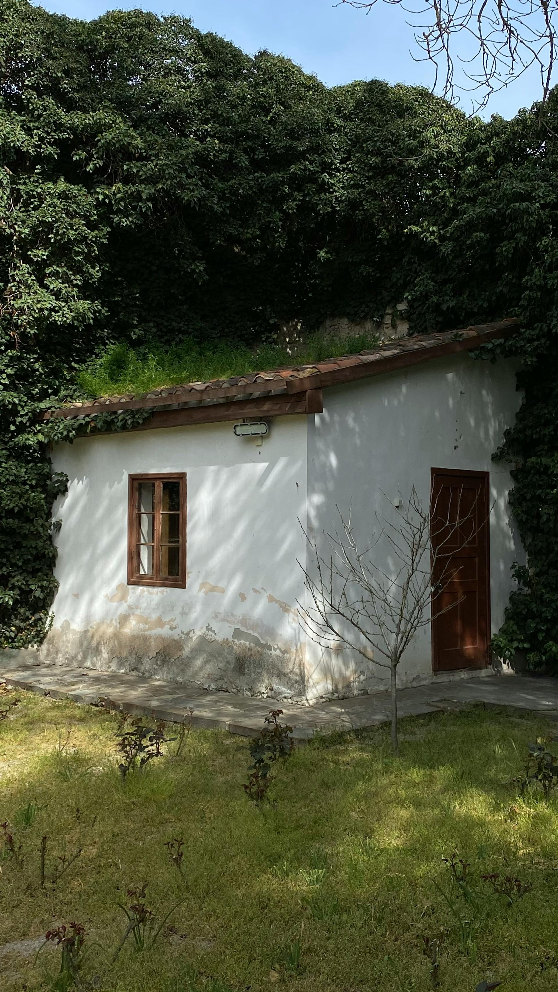 Una casa | Fuente: Pexels