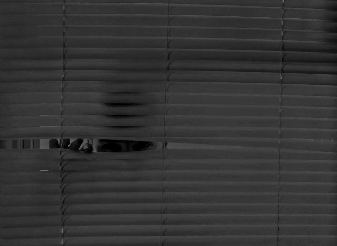 Imagen con fines ilustrativos | Foto: Pexels
