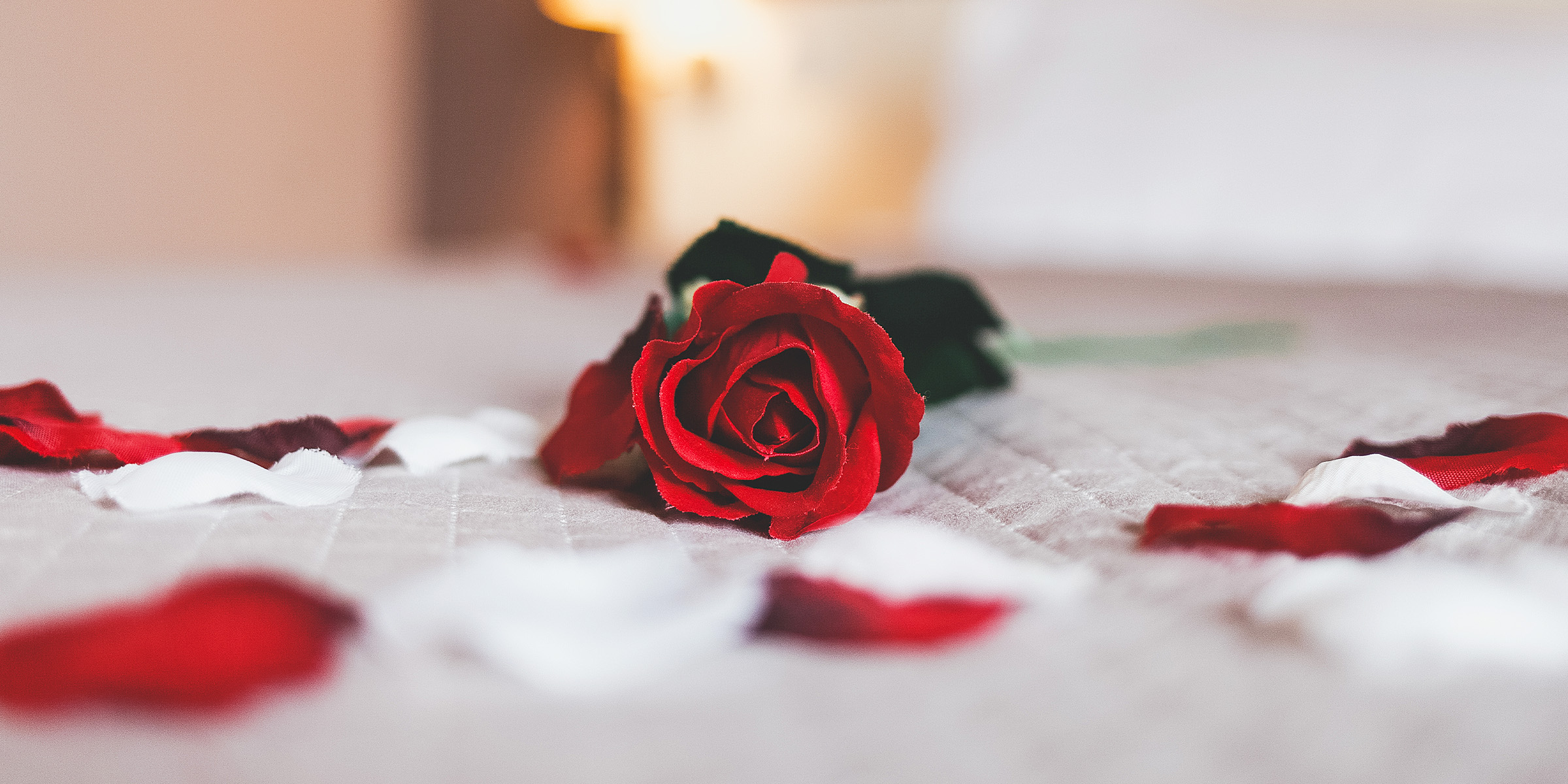 Una rosa roja sobre una cama | Fuente: Shutterstock