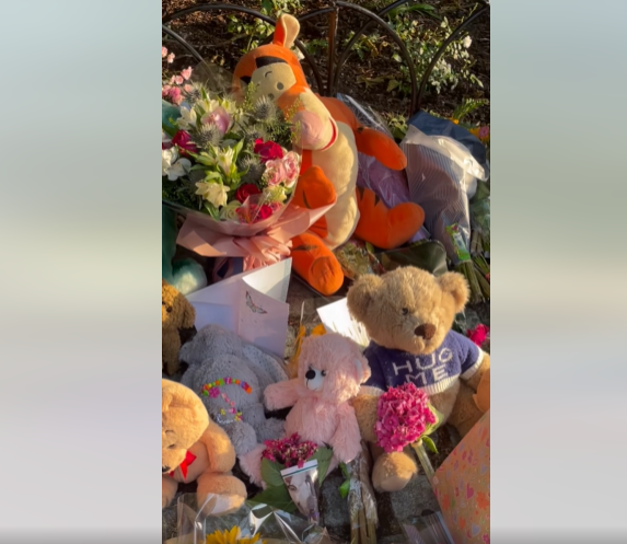En el lugar que ocupaba el árbol se han colocado muchos peluches y cartas, de un vídeo publicado el 1 de julio de 2025 | Fuente: Facebook/YourSouthend