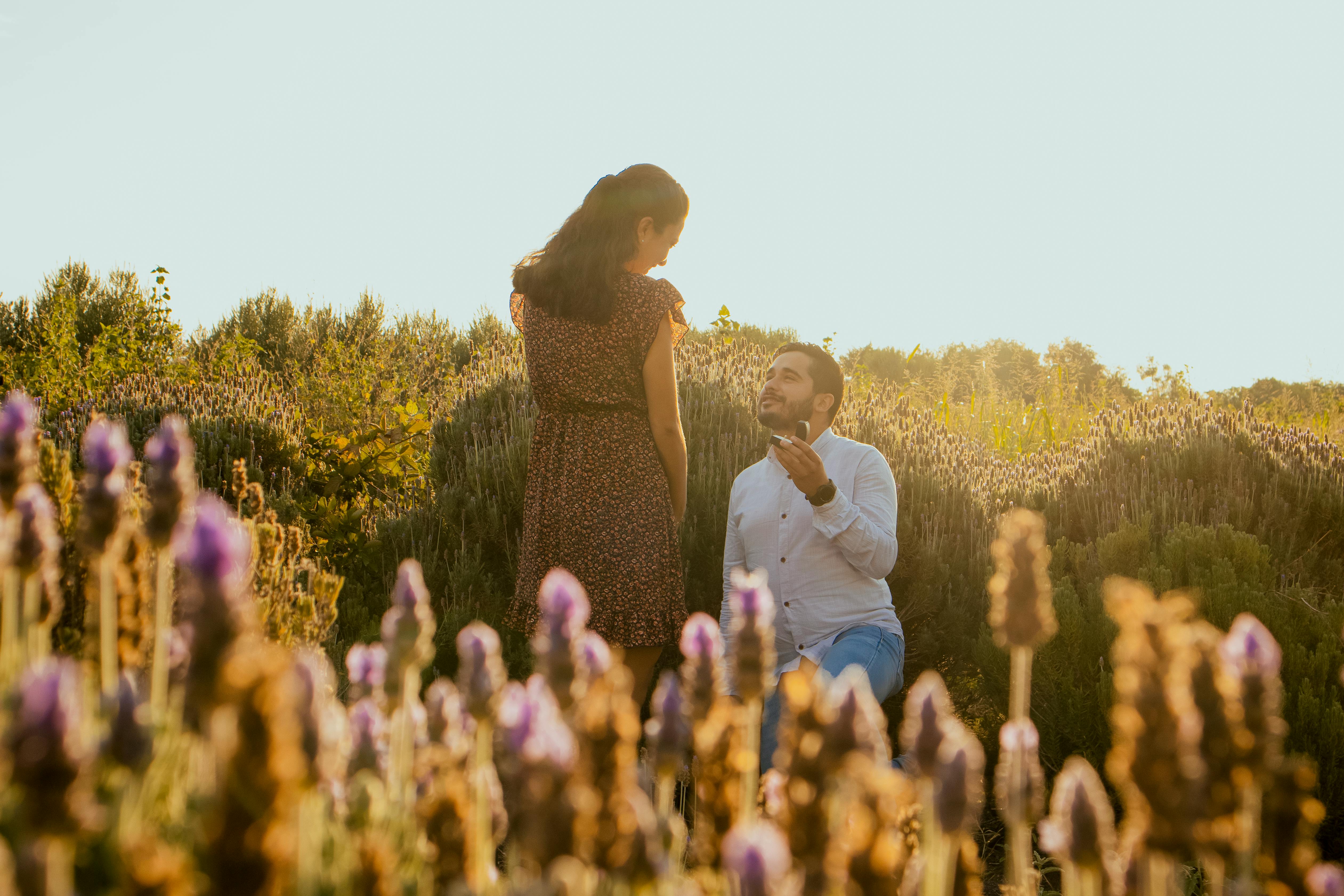 Un hombre pidiendo matrimonio | Fuente: Pexels