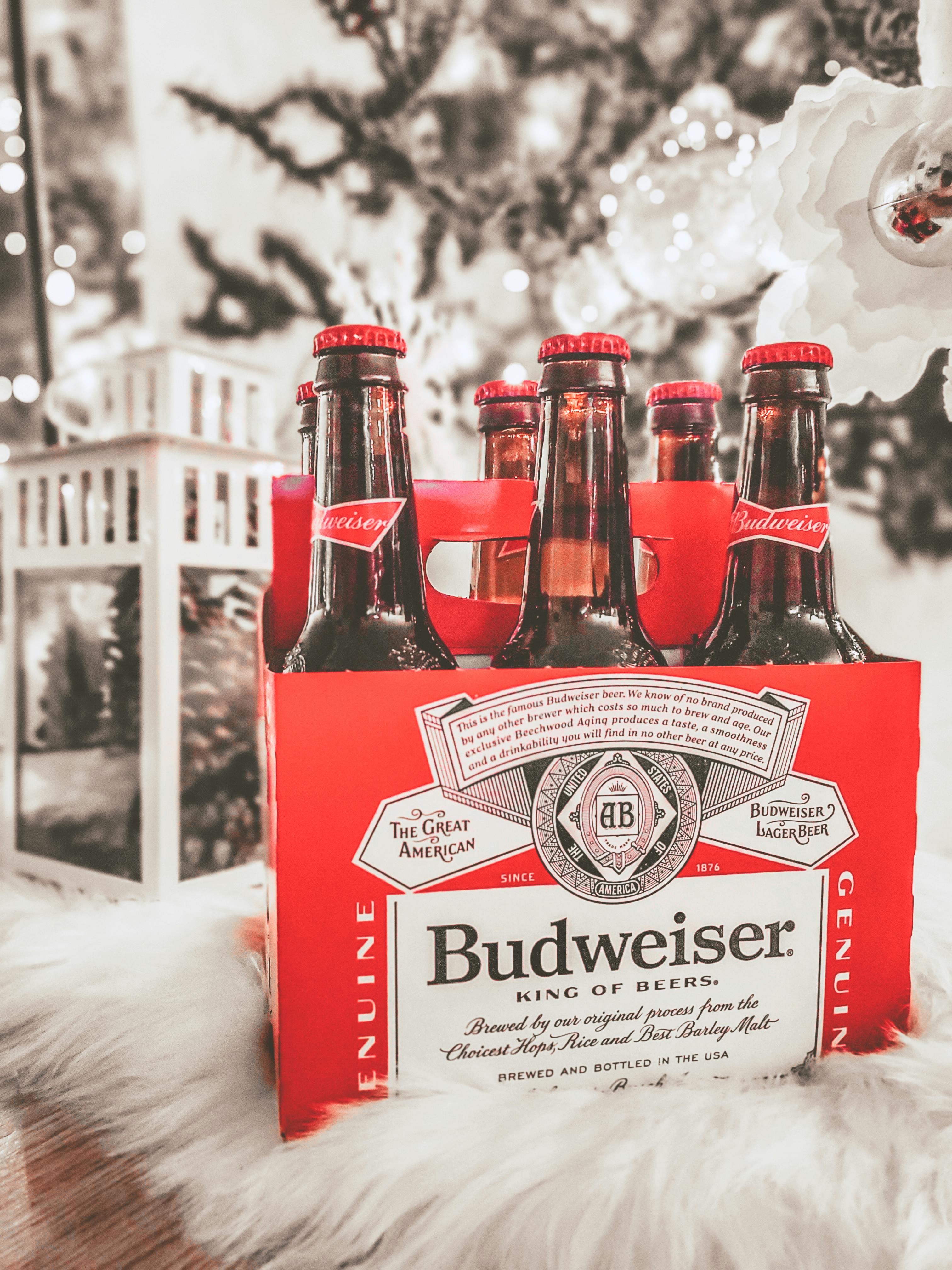 Un pack de seis cervezas | Fuente: Pexels