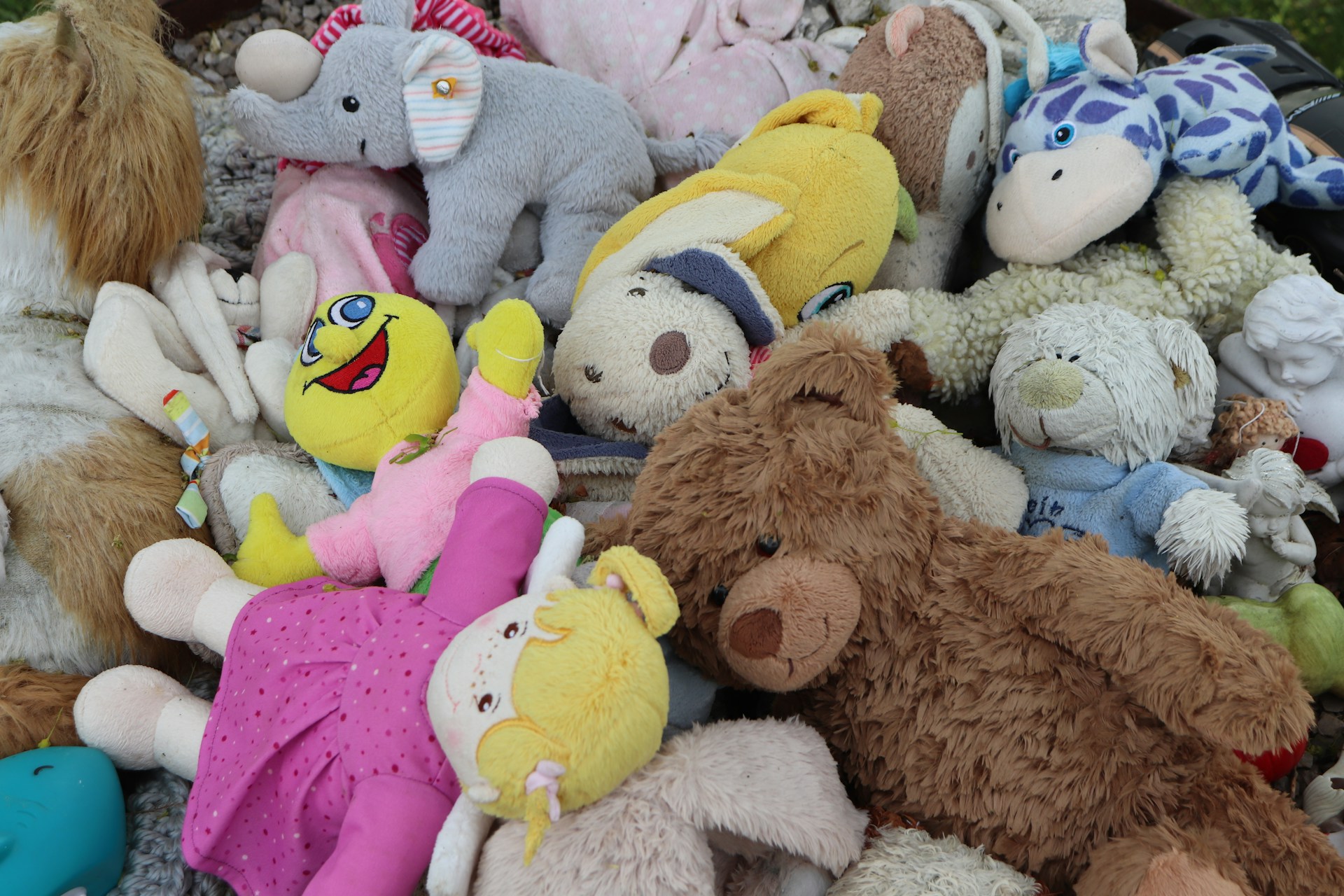 Una colección de peluches | Fuente: Unsplash