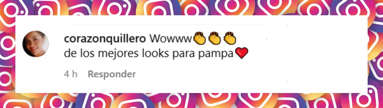 Comentario de una internauta | Fuente: Instagram/zacariasguedes