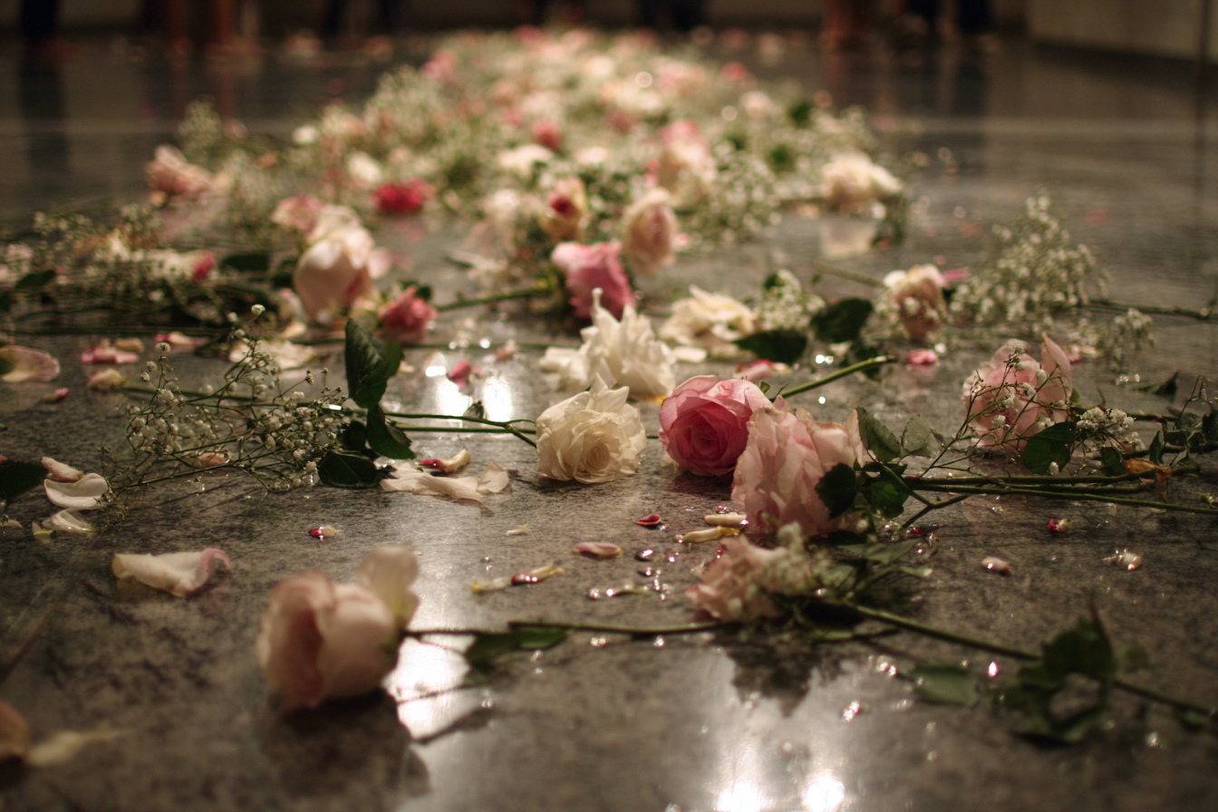 Flores esparcidas por el suelo | Fuente: Midjourney